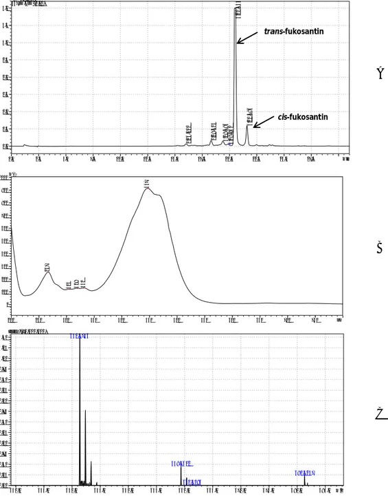 Gambar 1. Kromatogram HPLC (A), serapan UV (B), dan puncak ion fukosantin (C) Figure 1