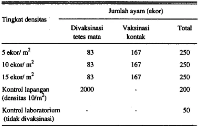 Tabel 1. Rancangan percobaan untuk mengevaluasi pengaruh dngkat rasio terhadap keefektifan transmisi lateral pada metode vaksinasi ND secara lateral (kontak)