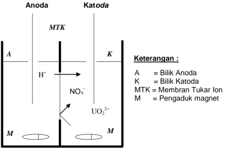 Gambar 2. Sel dua bilik menggunakan membran tukar ion  A       = Bilik Anoda  K       = Bilik Katoda  MTK = Membran Tukar Ion M      = Pengaduk magnet Anoda Katoda     NO3    M M H+Keterangan : MTK A K UO22+NO3- 
