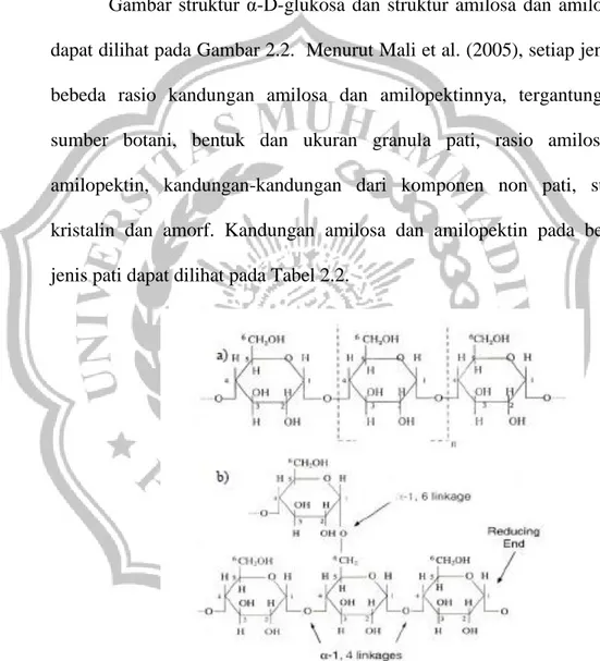 Gambar struktur α-D-glukosa dan struktur amilosa dan amilopektin  dapat dilihat pada Gambar 2.2
