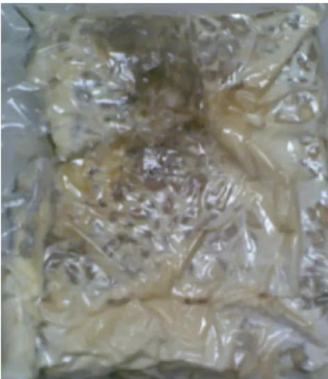 Gambar 1. Kerusakan Mutu pada Tempe 