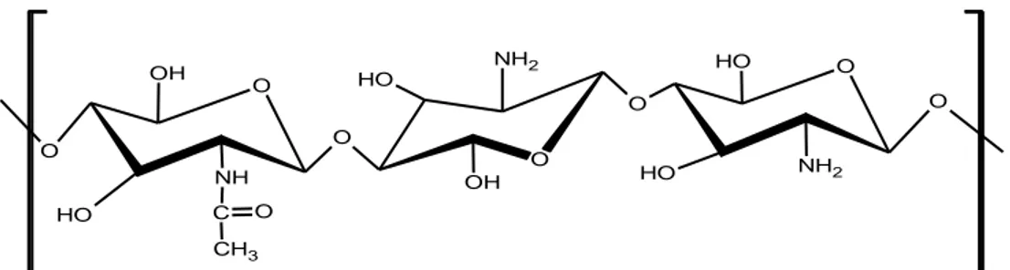 Gambar 3. Struktur chitosan 