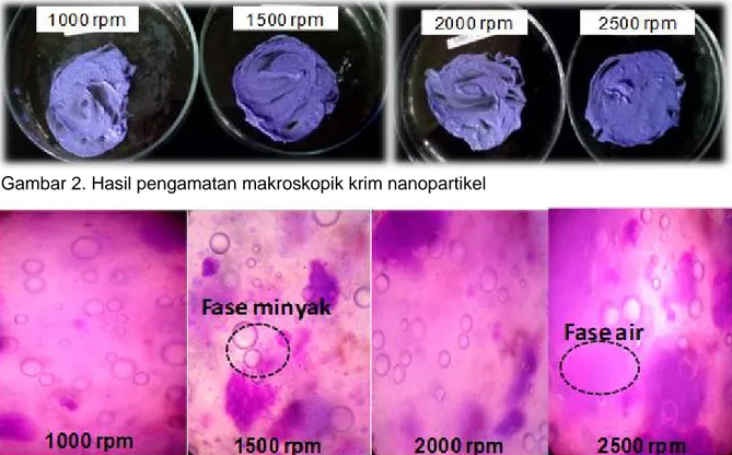 Gambar 3. Hasil pengamatan mikroskopik krim nanopartikel perbesaran 400 kali