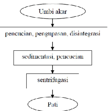 Diagram alir ekstraksi pati dari umbi akar dapat dilihat pada Gambar 3. 