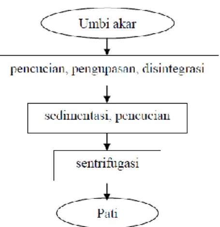 Diagram alir ekstraksi pati dari umbi akar dapat dilihat pada Gambar 3. 