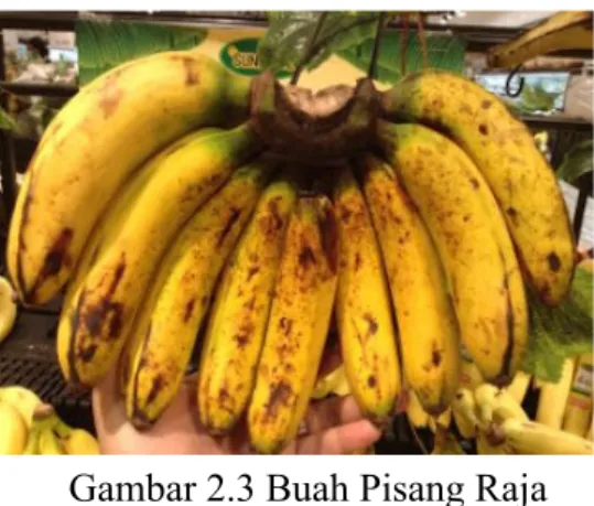 Gambar 2.3 Buah Pisang Raja 