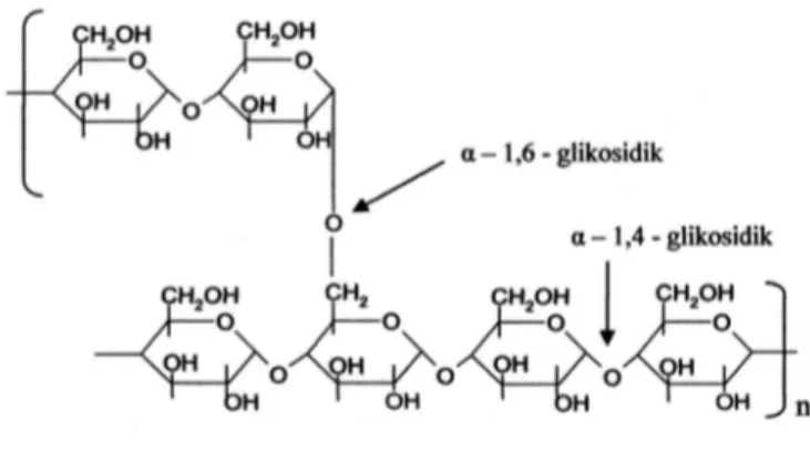 Gambar 2.2 Struktur Amilopektin 
