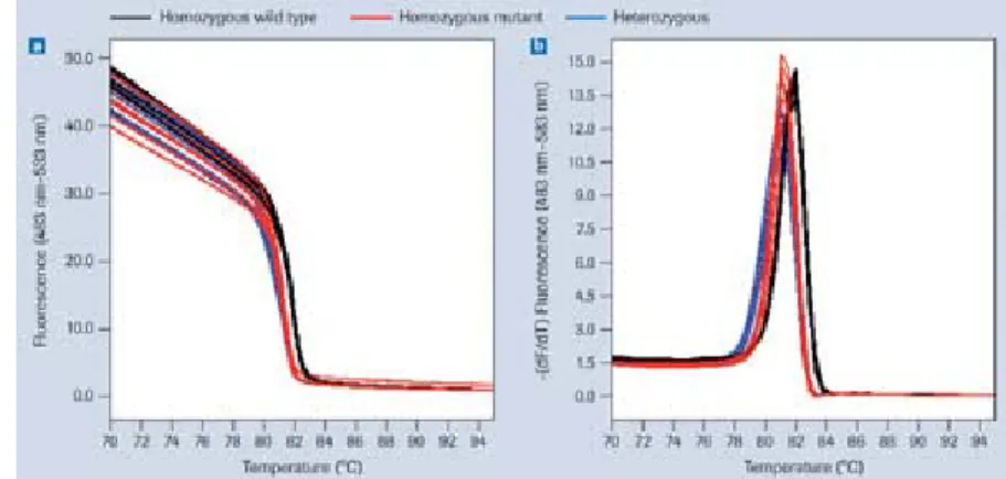 Gambar 7. Analisis kurva pelelehan (melt curve), A. Dua jenis puncak yang dihasilkan  mengindikasikan nilai Tm dari dua jenis produk PCR, B