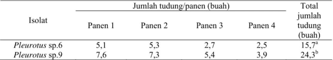 Tabel 4 Jumlah tudung Pleurotus sp.6 dan Pleurotus sp.9  Jumlah tudung/panen (buah)  Isolat 