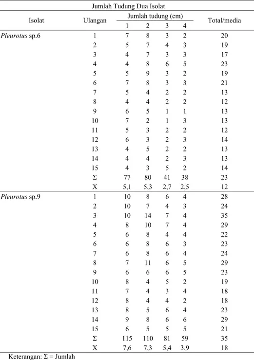 Tabel Lampiran 3. Rekapitulasi data jumlah tudung dua isolat Pleurotus spp.. 