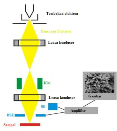 Gambar 9. Skematik alat Scanning Electron Microscopy (SEM) (Reed, 1993).
