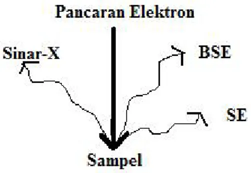 Gambar 10. Sistem alat deteksi Scanning Electron Microscopy (SEM) (Reed, 1993).