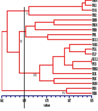 Gambar  2.    Dendogram analisis  UPGMA 20 aksesi pala dari Tidore dan  Patani berdasarkan karakter morfologi 