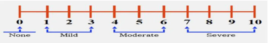Gambar 3.1 Numeric Rating Scale (NRS) 