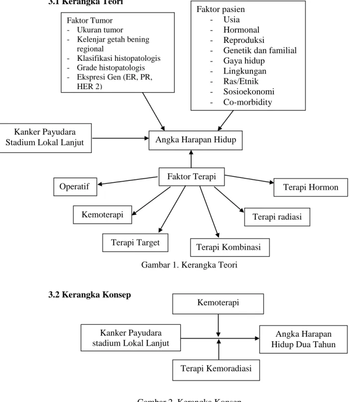 Gambar 1. Kerangka Teori 