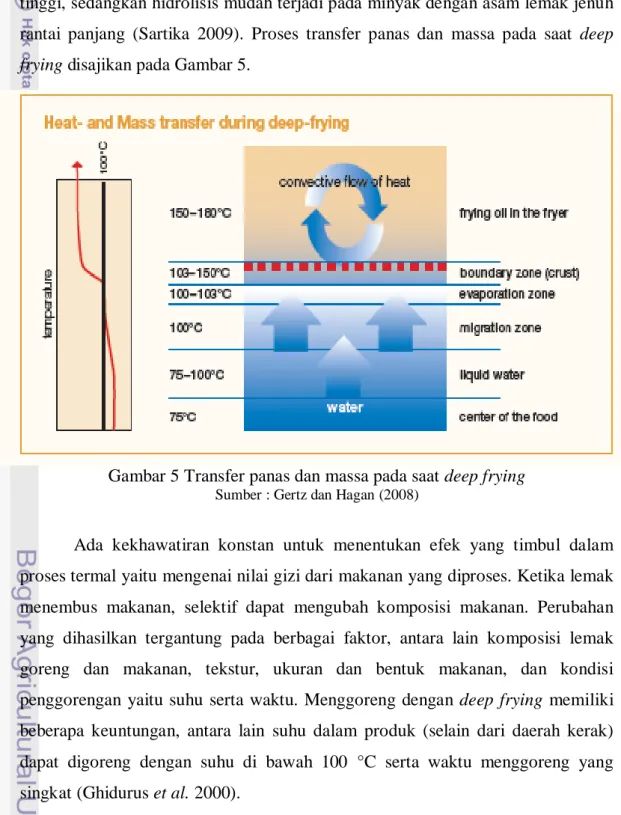 Gambar 5 Transfer panas dan massa pada saat deep frying 