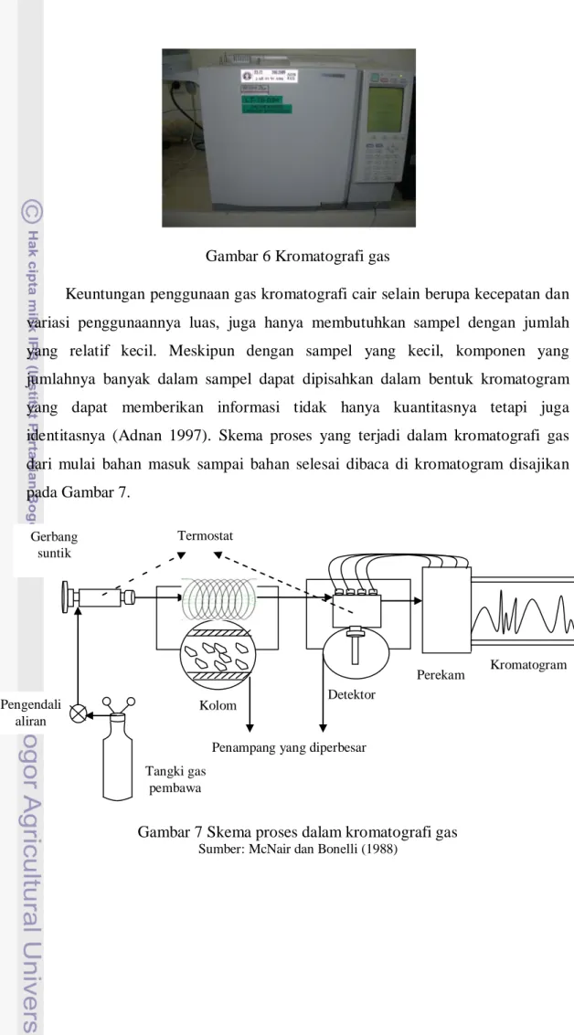Gambar 6 Kromatografi gas 