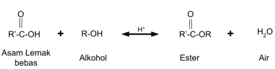 Gambar II.10 Reaksi esterifikasi asam lemak bebas 