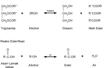 Gambar II.1 Reaksi transesterifikasi dan esterifikasi pada sintesis biodisel 9 