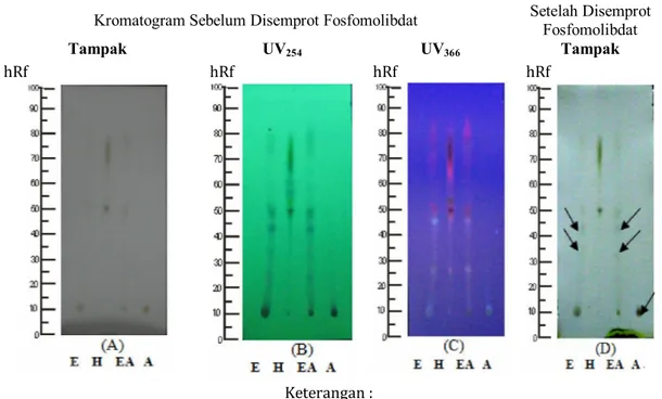 Gambar 1. Kromatogram ekstrak etanolik batang brotowali dan fraksinya sebelum dan setelah disemprot  asam fosfomolibdat