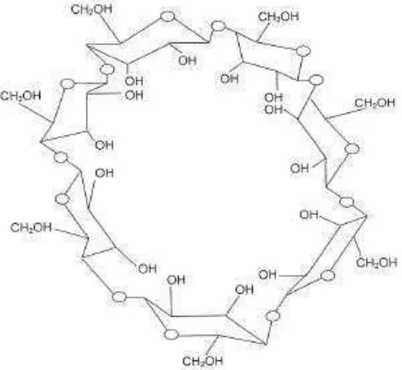 Gambar 13 Struktur molekul dekstrin (Shallenberger & Birch 1975) 