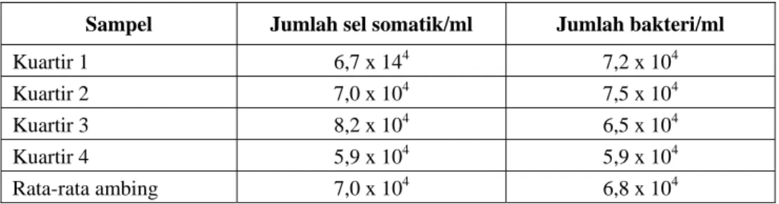 Tabel 1. Rata-rata jumlah sel somatik dan bakteri (n=21 ekor) 