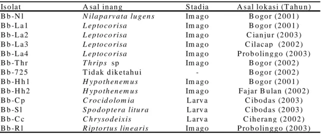 Tabel 1.  Sumber isolat B. bassiana yang digunakan  