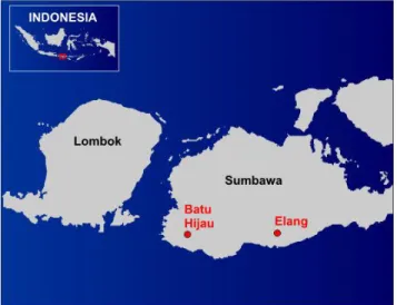 Gambar 2. Airbone Magnetc Elang (Hoschke, 2011)  Survei IP/resistivitas juga telah dilakukan di daerah  Elang dengan spasi garis 200 m dan spasi elektrode 50  m