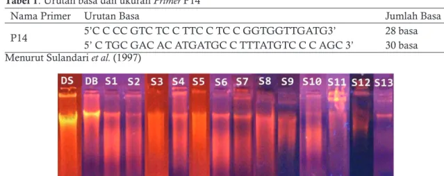 Gambar 2. Hasil amplifikasi PCR yang dielek- dielek-troforesis pada 1,2% agarose. M (Marker 100bp),  MIX (Mix PCR tanpa DNA template), DB  (Dag-ing Babi), DS (Dag(Dag-ing Sapi), S1-S13 (Sampel  bakso 1-13)