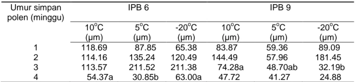 Tabel 2 Panjang tabung polen pepaya IPB 6 dan IPB 9 selama 4 minggu penyimpanan  Umur simpan  polen (minggu)  IPB 6  IPB 9  10 o C  (µm)  5 o C  (µm)  -20 o C (µm)  10 o C (µm)  5 o C  (µm)  -20 o C (µm)  1  118.69    87.85 65.38   83.87    59.36  89.09 2 