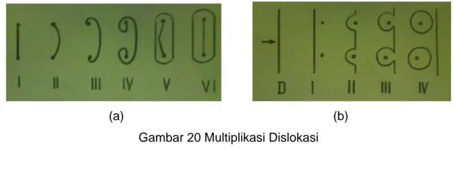 Gambar 20 Multiplikasi Dislokasi 