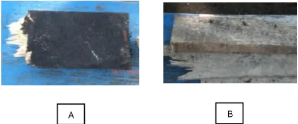 Gambar 2. Perbandingan Struktur Kayu  A. Kayu yang diolesi asap cair; Gambar B. Kayu yang tidak  diolesi asap cair 
