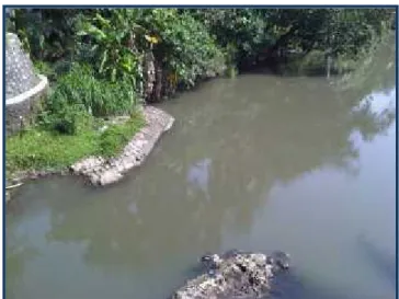 Gambar 7. Kondisi salah sungai di Kabupaten Bantul (S. Bedog)