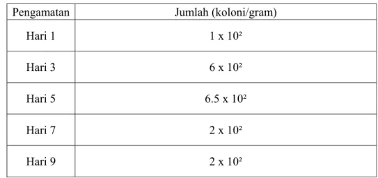Tabel 11. Nilai Rata-Rata Jumlah Kapang dan Khamir Ikan Teri Nasi  (Stolephorus commersonii, Lac.) Selama Penyimpanan