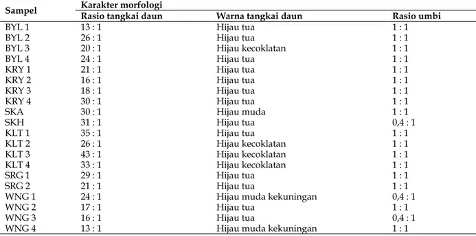 Tabel 2. Karakter morfologi suweg di wilayah eks-karesidenan Surakarta  Sampel  Karakter morfologi 