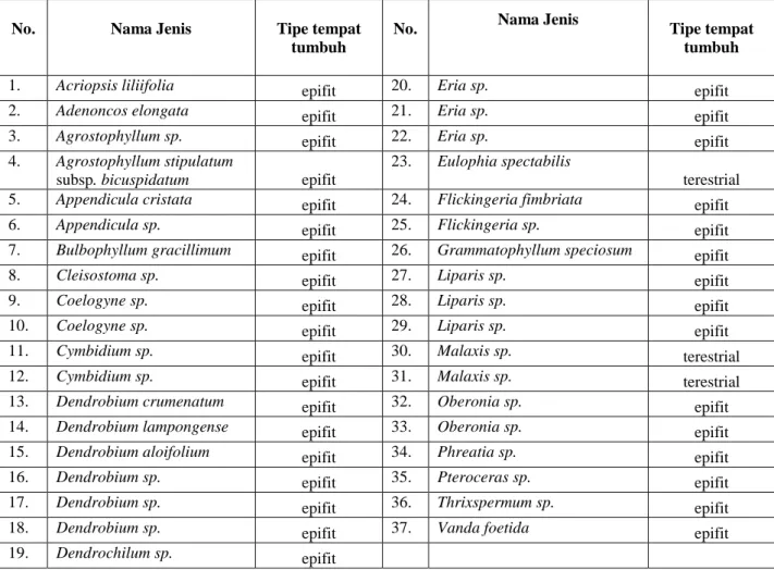 Tabel 2. Daftar jenis anggrek yang tumbuh di Hutan Padiampe, Pagar Alam, Sumatera  Selatan 