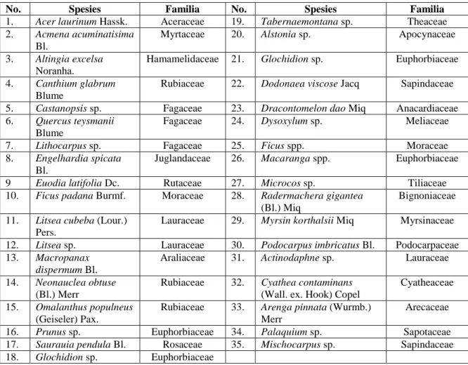 Tabel  4.  Daftar  jenis  tumbuhan  umum  yang  dijumpai  di  Hutan  Padiampe,  Pagar  Alam,  Sumatera Selatan 