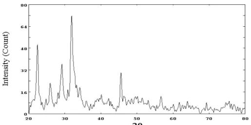 Gambar 10  Pola difraksi sinar-X hasil sintesis apatit karbonat (hasil penelitian  Sari dkk)