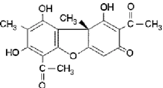 Gambar 1. Struktur asam usnic