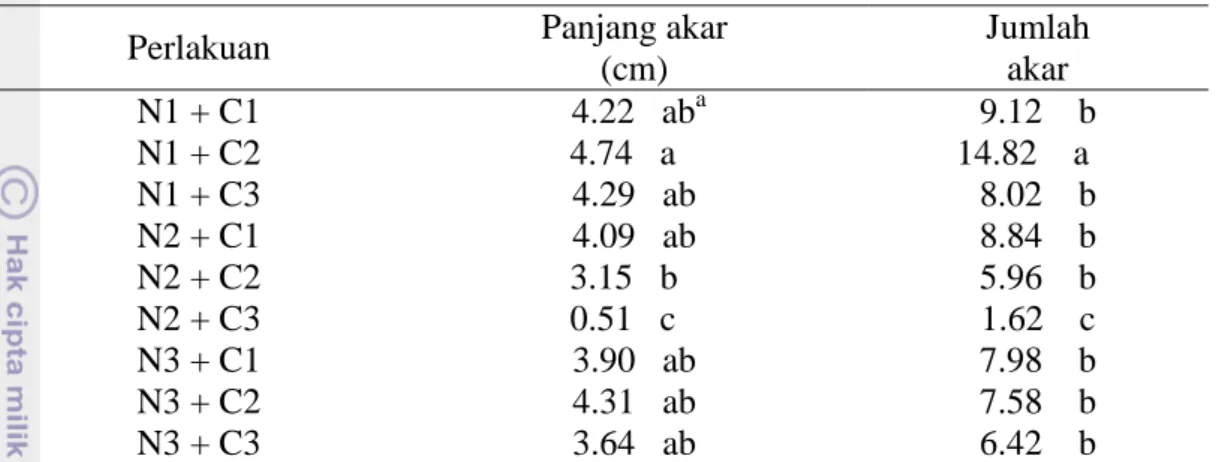 Tabel 2 Pengaruh amonium nitrat (NH 4 NO 3 ) dan kalsium klorida (CaCl 2 ) pada    medium ½ WP terhadap akar planlet stevia  