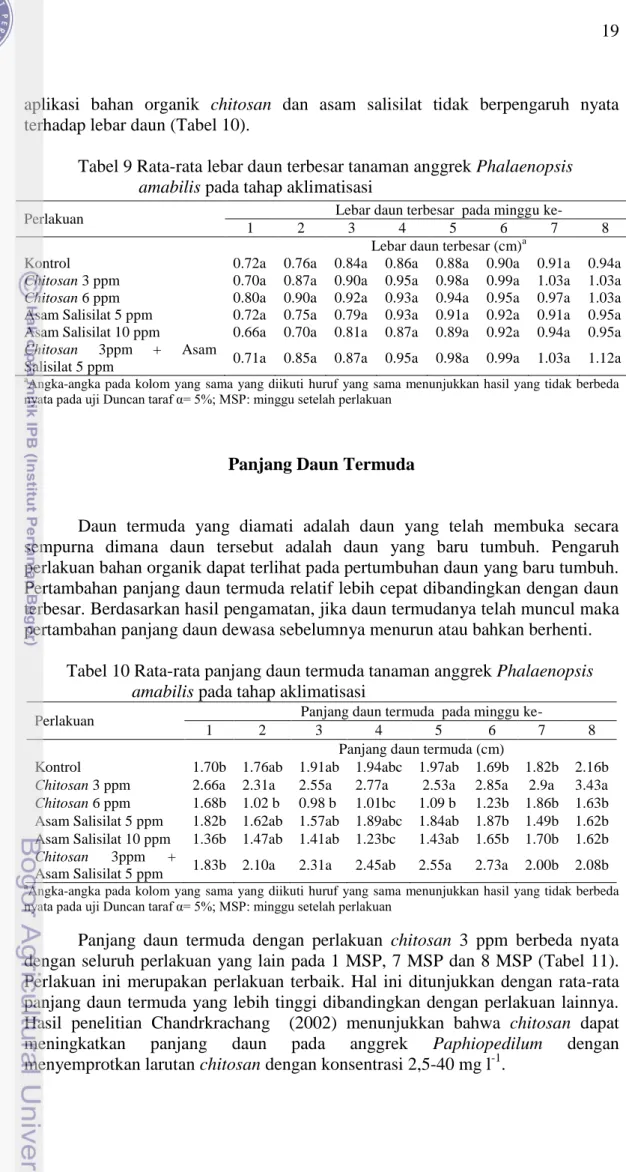 Tabel 9 Rata-rata lebar daun terbesar tanaman anggrek Phalaenopsis  amabilis pada tahap aklimatisasi 