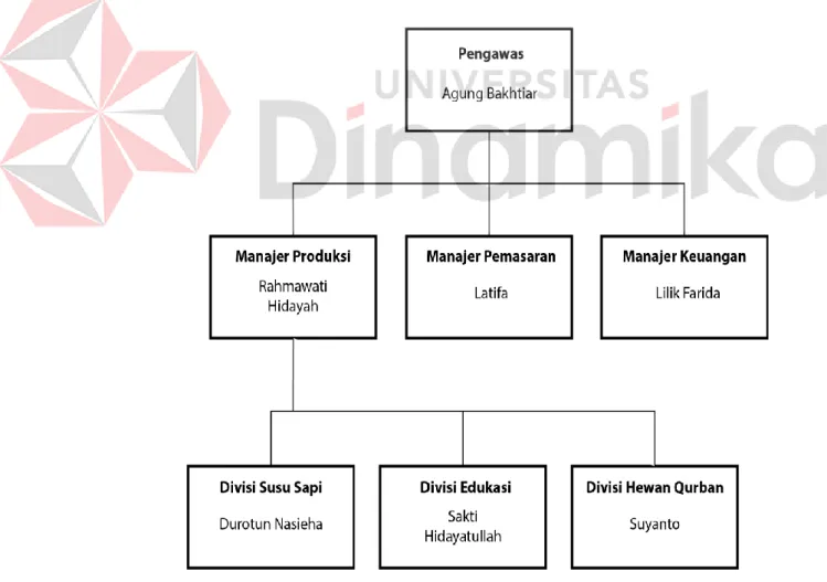 Gambar 2.1 Struktur Manajemen Perusahaan UD. Baqoroh Joyo  (Sumber:data personal perusahaan, 2020) 