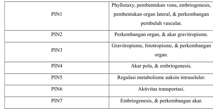 Tabel 1. Fungsi dari anggota keluarga protein PIN
