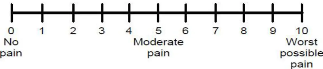 Gambar 2.12. Wong Baker Pain Rating Scale 