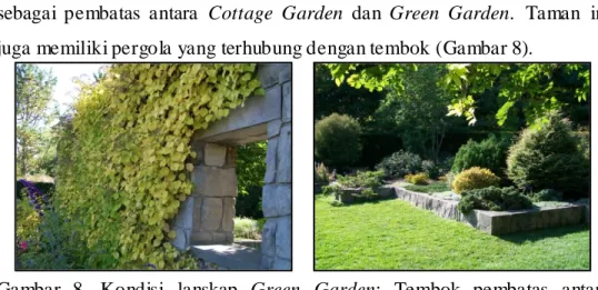 Gambar  8.  Kondisi  lanskap  Green  Garden;  Tembok  pembatas  antara  Cottage Garden  dan  Green  Garden  (kiri)  dan  Koleksi  tanaman  evergreen  pada Green Garden 