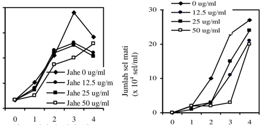 Gambar 4.  Pertumbuhan  10 5   sel/ml   hibridoma  pada media RPMI 1640 yang mengandung 12,5, 25 dan g/ml                      ekstrak diklorometan jahe