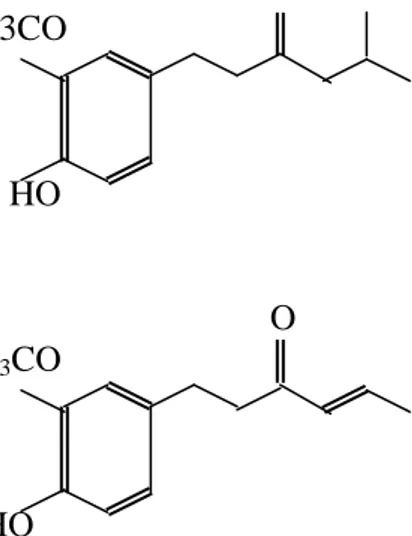 Gambar 1.  Struktur  kimia senyawa gingerol dan shogaol  Senyawa  gingerol  dan  shogaol    bersifat  lebih 