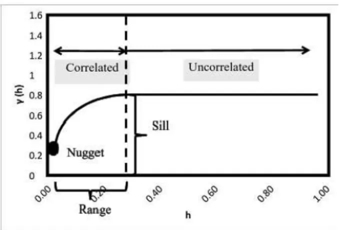 Gambar 2.4 Ilustrasi Plot Semivariogram  1.  Nugget Effect (C0)  