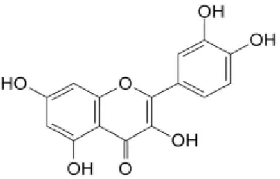 Gambar 6. Struktur kimia flavonoid (Robinson, 1995). 