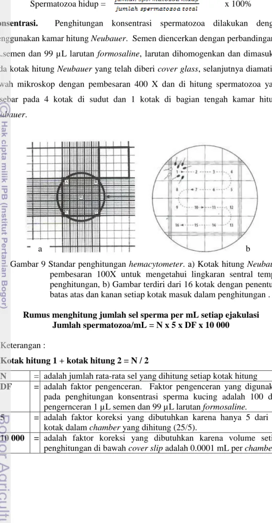 Gambar 9 Standar penghitungan hemacytometer. a) Kotak hitung Neubauer  pembesaran  100X  untuk  mengetahui  lingkaran  sentral  tempat  penghitungan, b) Gambar terdiri dari 16 kotak dengan penentuan  batas atas dan kanan setiap kotak masuk dalam penghitung